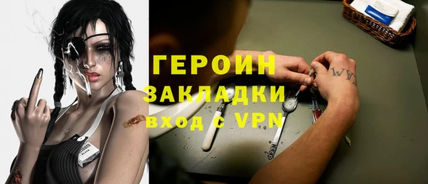 индика Богородицк