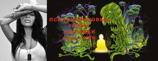 ПСИЛОЦИБИНОВЫЕ ГРИБЫ Нея