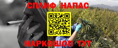 гидра Берёзовский