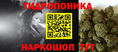 гидра Берёзовский
