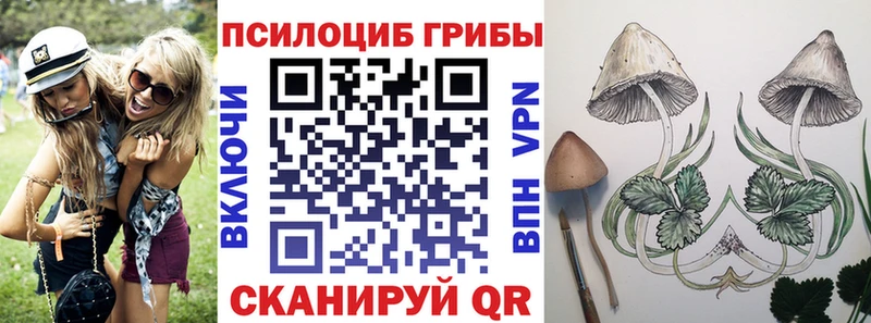 наркотики  Ишимбай  Галлюциногенные грибы Psilocybe 