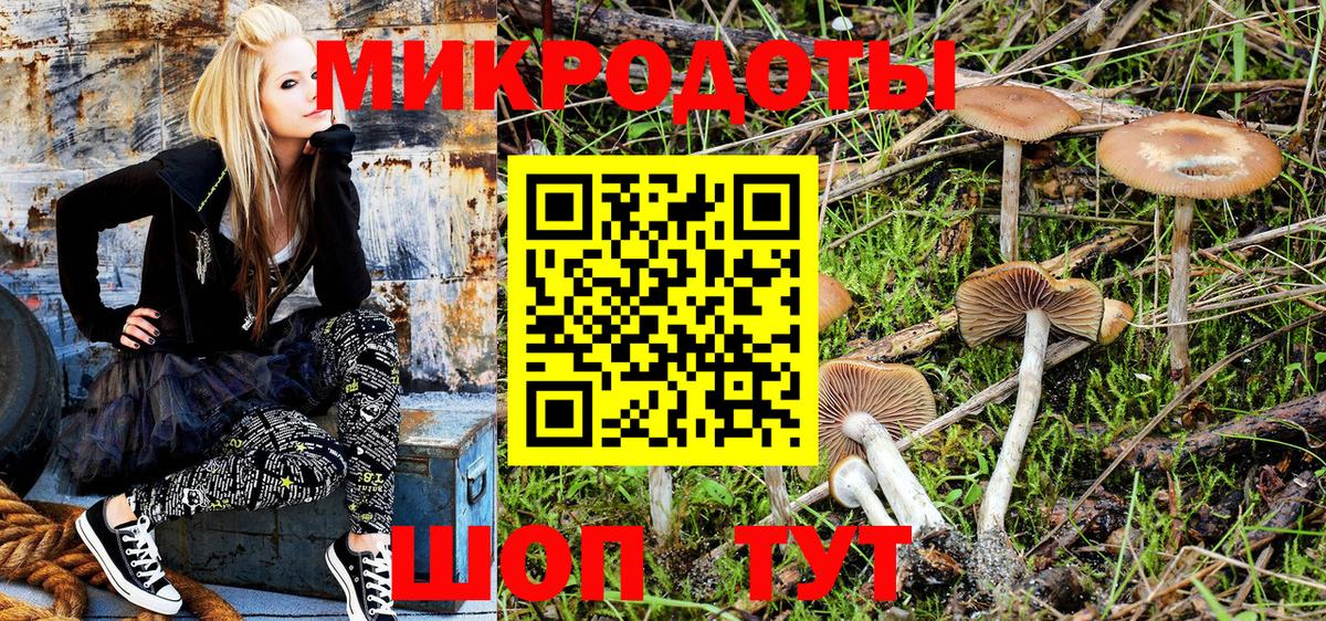 Галлюциногенные грибы Psilocybine cubensis  Вход с VPN  Ишимбай 