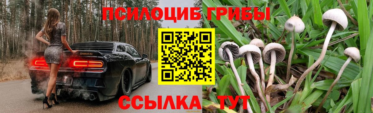 Псилоцибиновые грибы мицелий Ишимбай